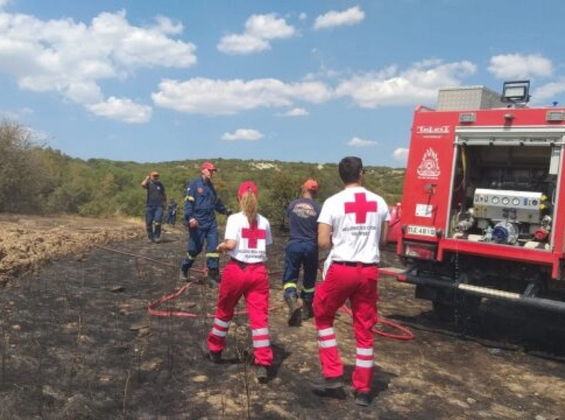 Μαύρη γη άφησε πίσω της η φωτιά στο Παλαιόκαστρο Ελασσόνας 