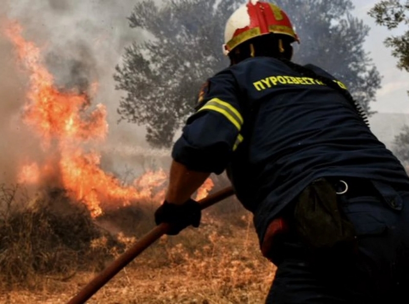 Κατηγορία κινδύνου 4 | Πολύ υψηλός κίνδυνος πυρκαγιάς σήμερα σε Λάρισα και Μαγνησία