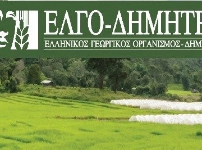 Εγγραφές των επιτυχόντων με παράλληλο μηχανογραφικό στις Σ.Α.Ε.Κ. του ΕΛΓΟ-ΔΗΜΗΤΡΑ