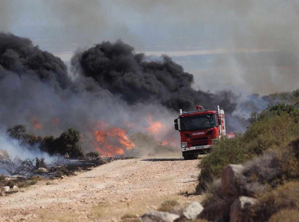 50 στρέμματα καμένης γης σε Αμπελιά και Κραννώνα
