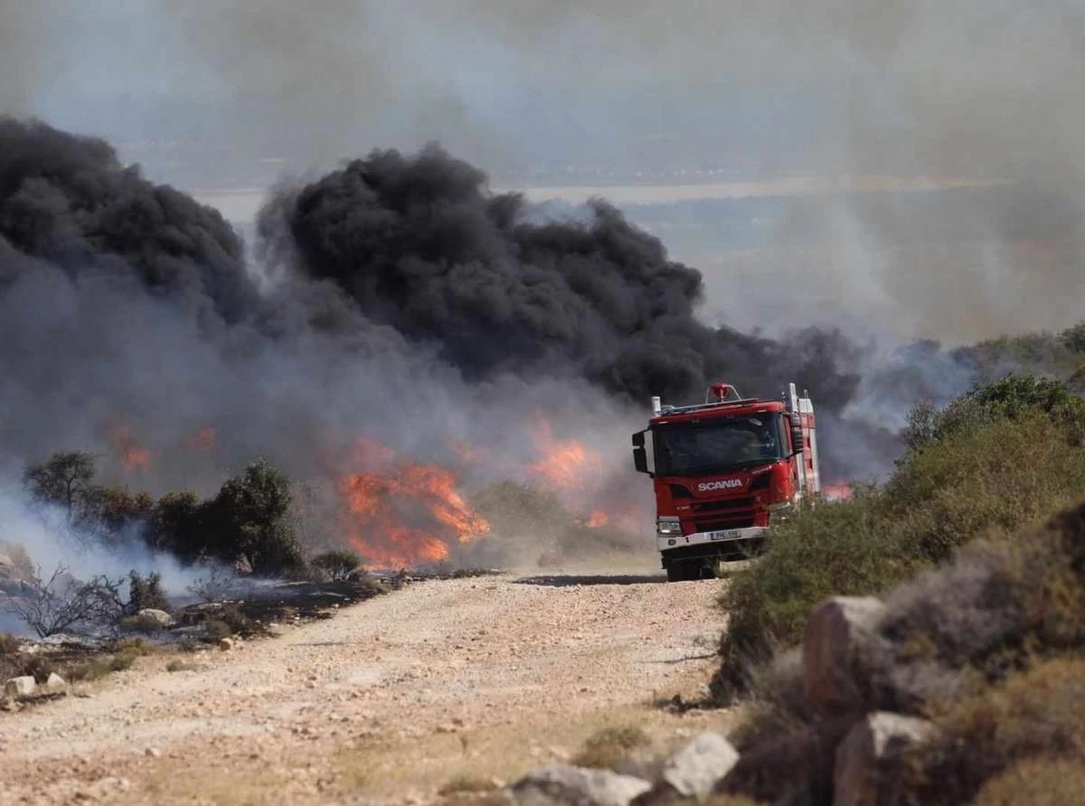 50 στρέμματα καμένης γης σε Αμπελιά και Κραννώνα