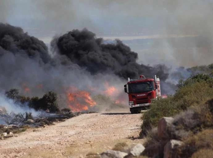 50 στρέμματα καμένης γης σε Αμπελιά και Κραννώνα