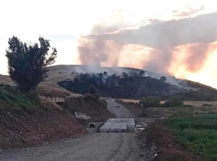 Κουρέτας: Σε αυξημένη επιφυλακή η Θεσσαλία για την προστασία από πυρκαγιές - Οι απαγορεύσεις