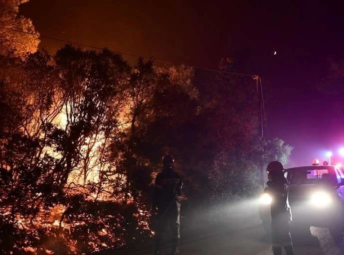 Φωτιά στην Αττική - Λέκκας: Οι τέσσερις λόγοι που έκαναν τη φωτιά να εξαπλωθεί γρήγορα