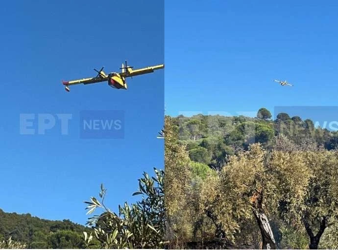 Απέδωσε το σύστημα πολιτικής προστασίας της Περιφέρειας Θεσσαλίας στη φωτιά του Πλατανιά