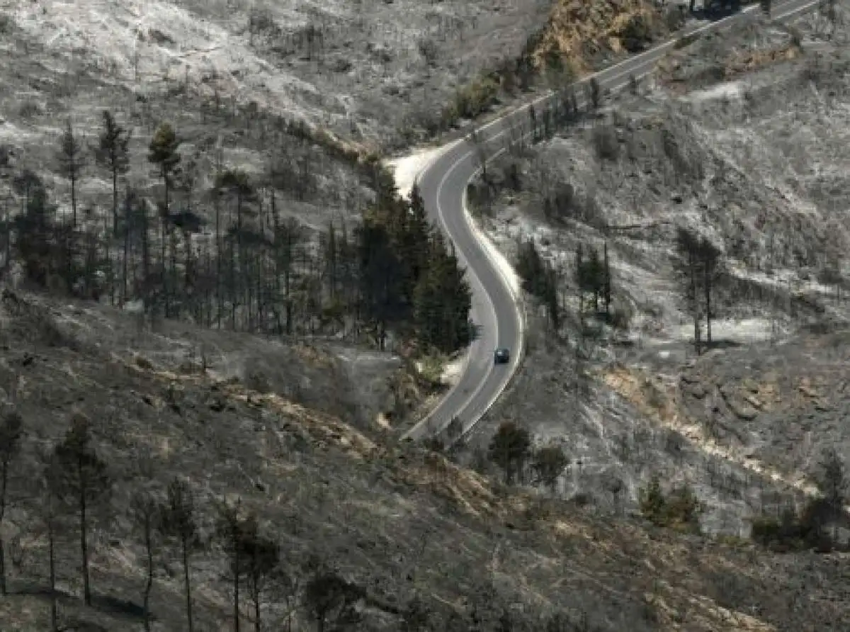 Οι απανωτές φωτιές οδηγούν την Αττική σε ερημοποίηση - Η κατάσβεση «άργησε μια μέρα», λέει ειδικός