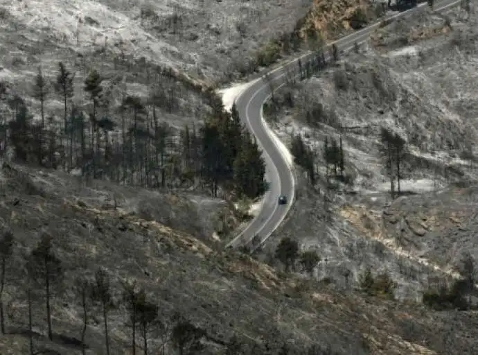 Οι απανωτές φωτιές οδηγούν την Αττική σε ερημοποίηση - Η κατάσβεση «άργησε μια μέρα», λέει ειδικός