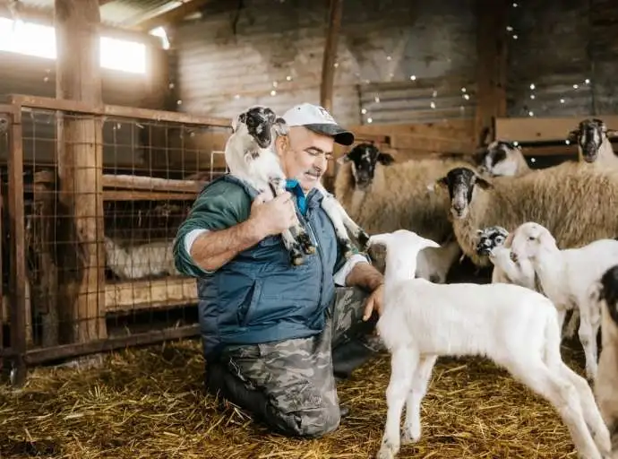 Θεσσαλία: Από τις πλημμύρες στην πανώλη