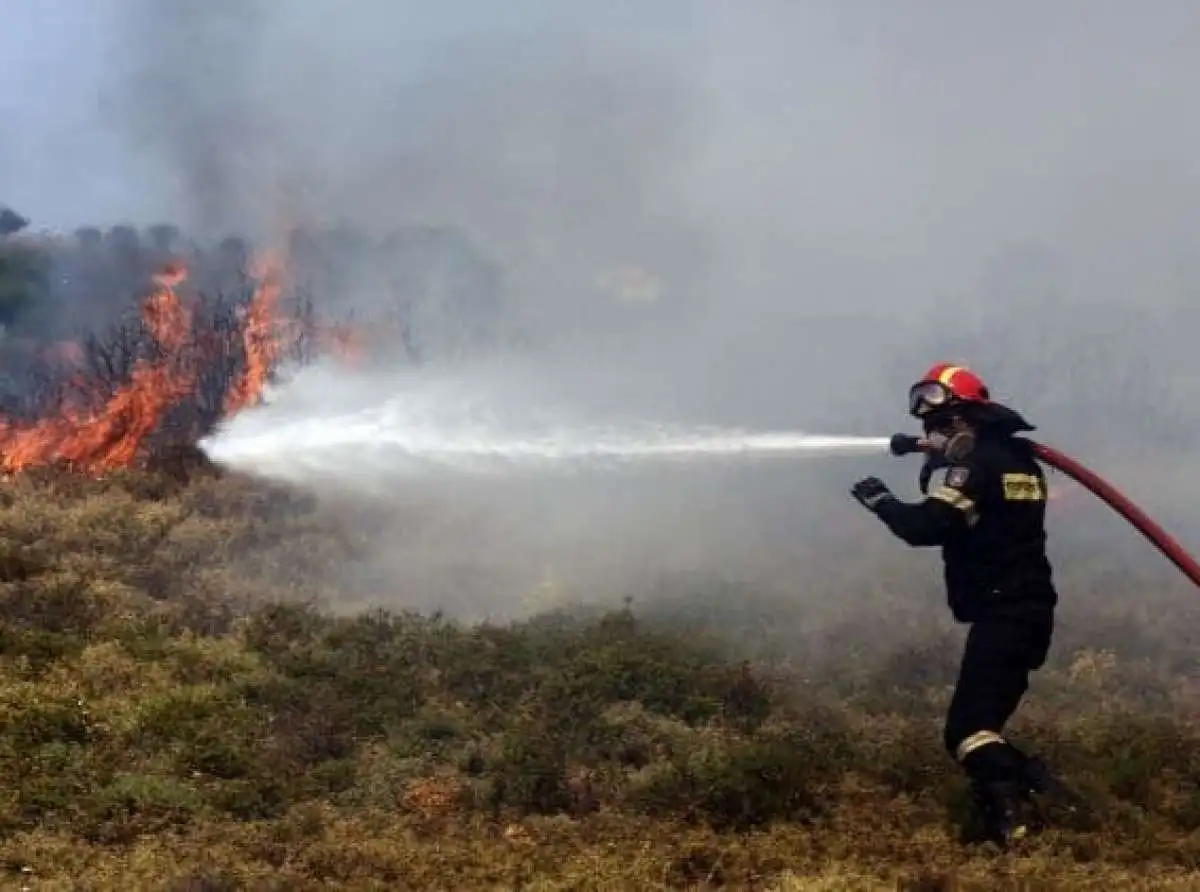 Υπό έλεγχο η φωτιά σε δασική έκταση στην Καρυά Ολύμπου