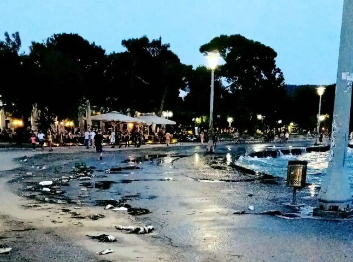 Ψάρια του γλυκού νερού ξεβράζονται στην παραλία του Βόλου - Από που προέρχονται