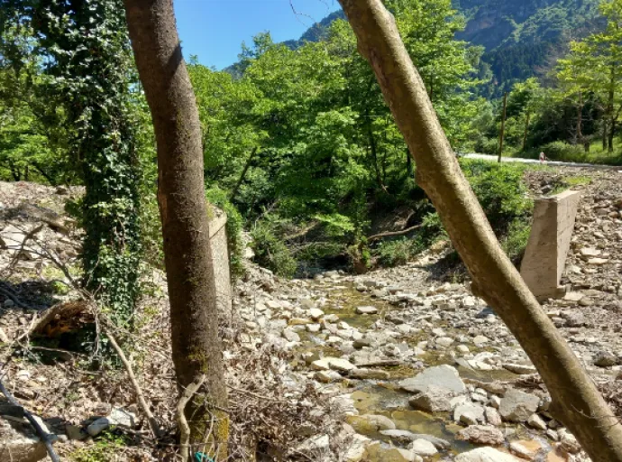 ΛΑΣΥ Θεσσαλίας: "Έναν χρόνο μετά η Περιφέρεια δεν έχει αποκαταστήσει τη γέφυρα προς Στουρναραίικα"