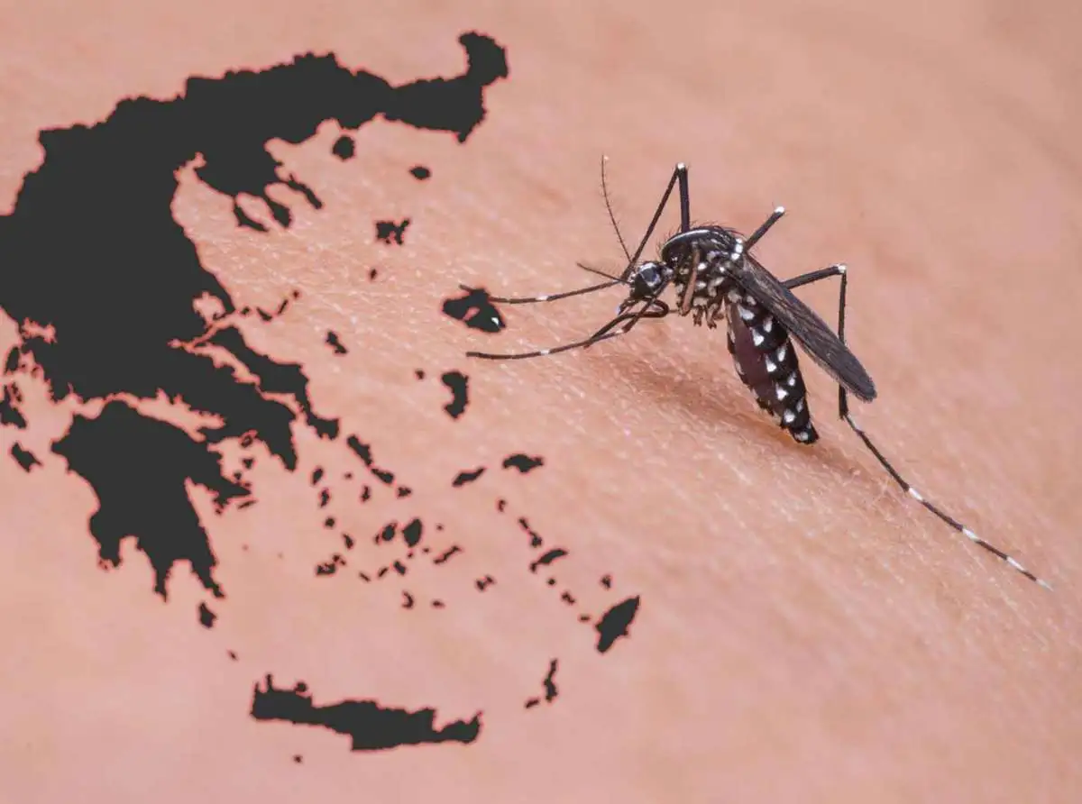 ΕΟΔΥ για ιό Δυτικού Νείλου | Στα "κόκκινα" ένας Δήμος στην Π.Ε. Λάρισας και τέσσερις στη Θεσσαλία