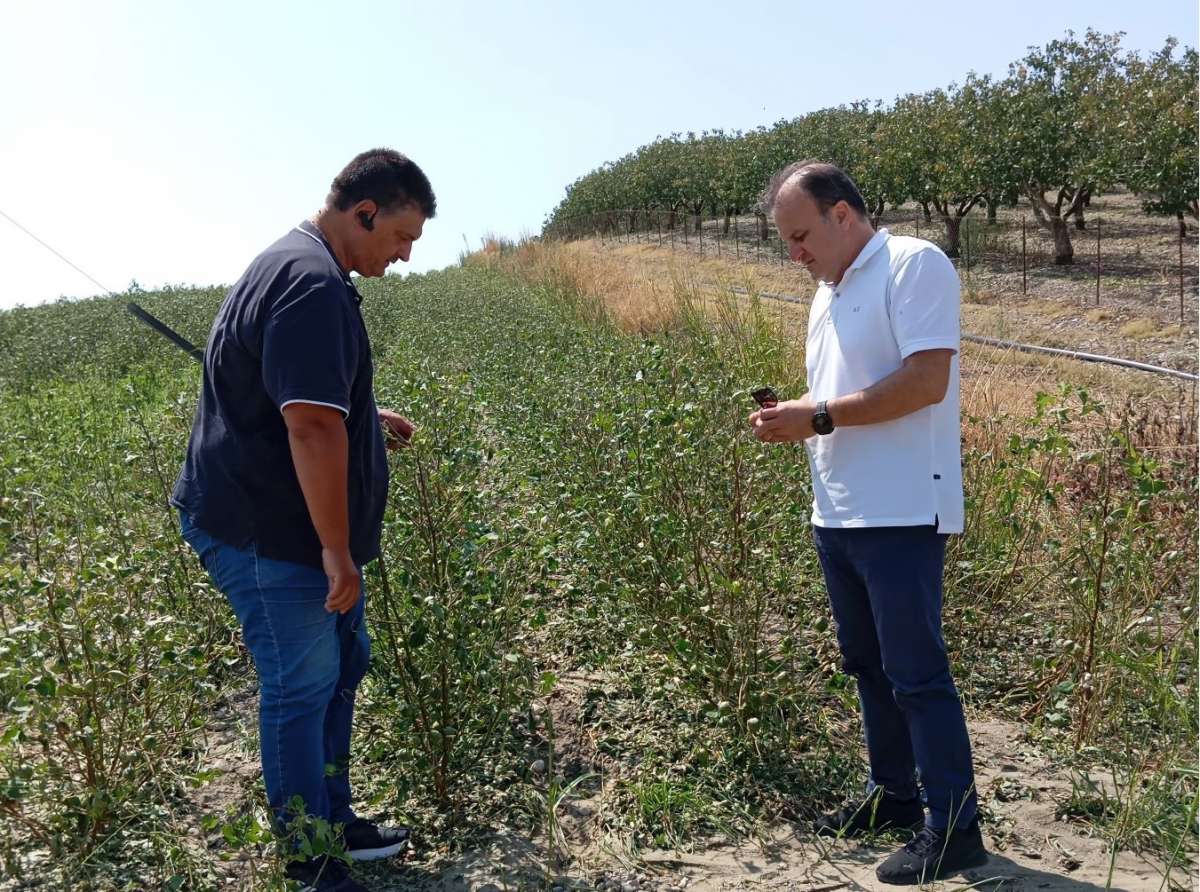 Δ.Λαρισαίων | Αίτημα στον ΕΛΓΑ για καταγραφή ζημιών σε τέσσερα Δ.Δ.