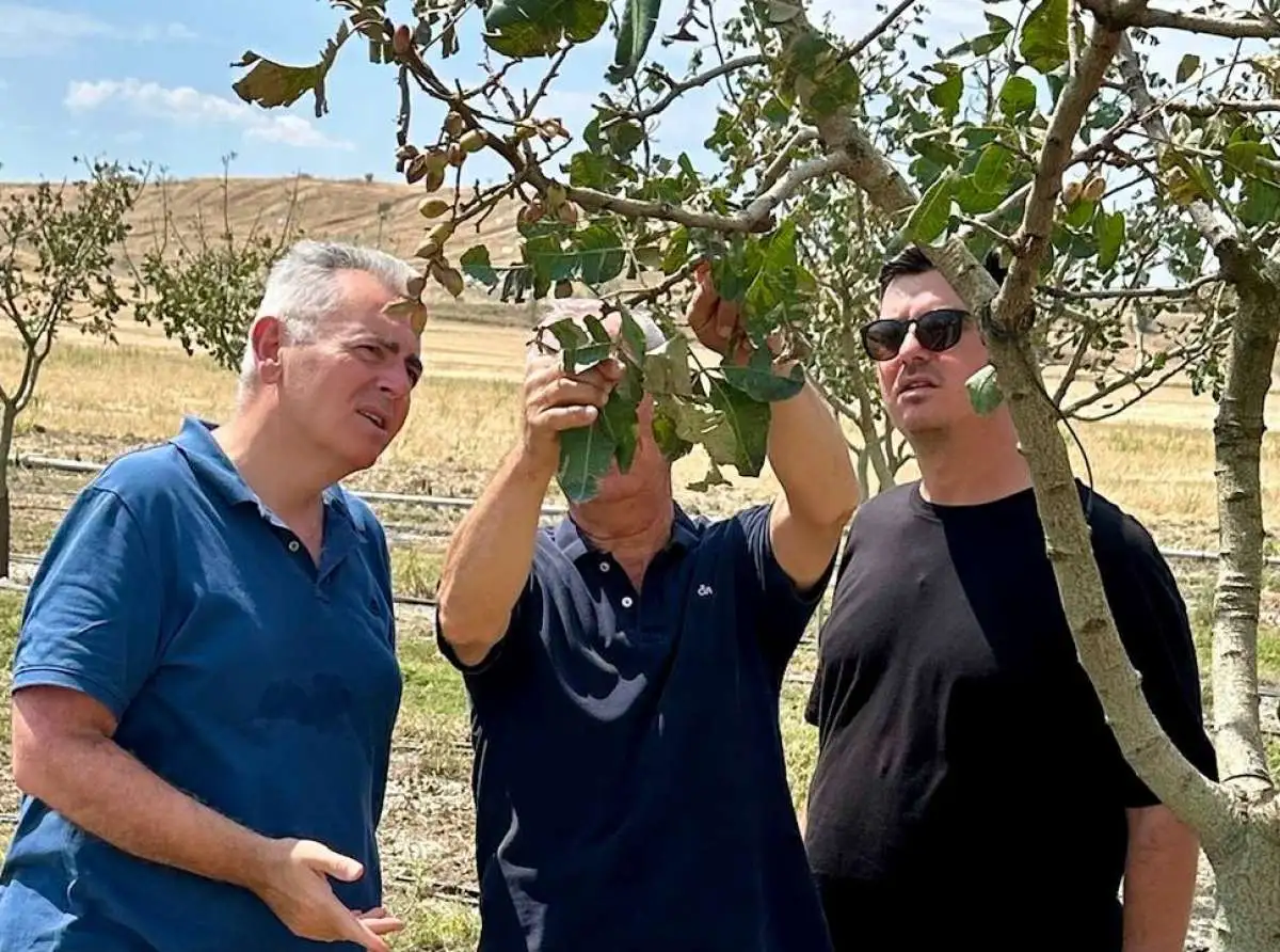 Χαρακόπουλος στα χαλαζόπληκτα: Άμεσες εκτιμήσεις στις σοβαρές ζημιές που προκάλεσε το μπουρίνι (ΦΩΤΟ)