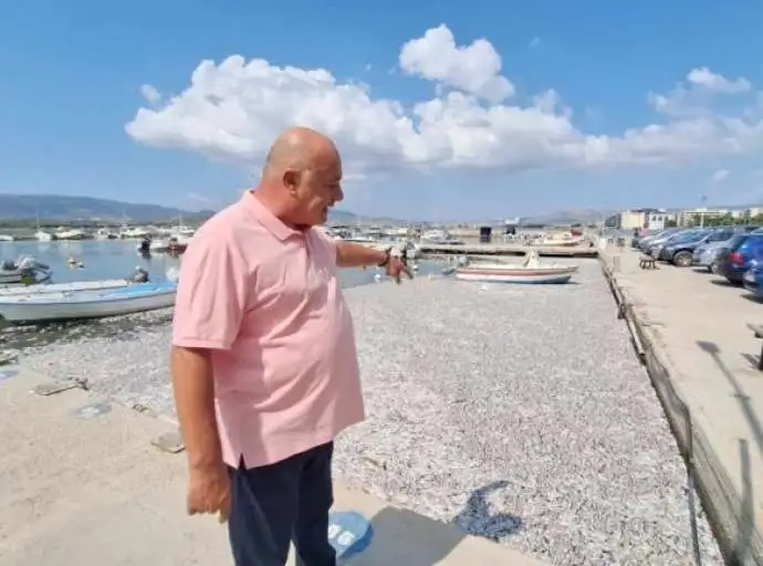 Ο Μπέος καλεί τους Βολιώτες σε αγωγές για τα νεκρά ψάρια