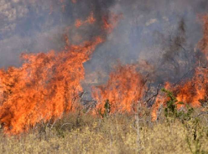 Πρόστιμα για φωτιά στα Καλά Νερά και στη Βυζίτσα