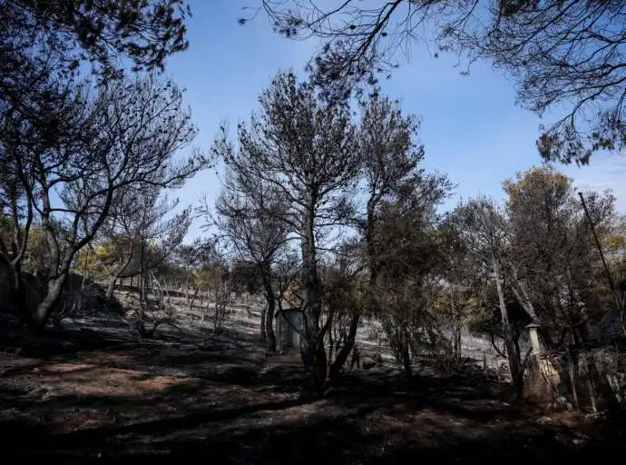Γνωστός τηλε-ορθοπεδικός συνελήφθη με τη σύντροφό του για έξι εμπρησμούς στη Ν.Μάκρη – Αναζητείται ο ανήλικος γιος της κατηγορούμενης