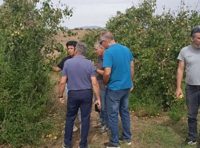 Στα χαλαζόπληκτα της Ελασσόνας μικτό κλιμάκιο - Από σήμερα η υποβολή αιτήσεων για παραγωγούς