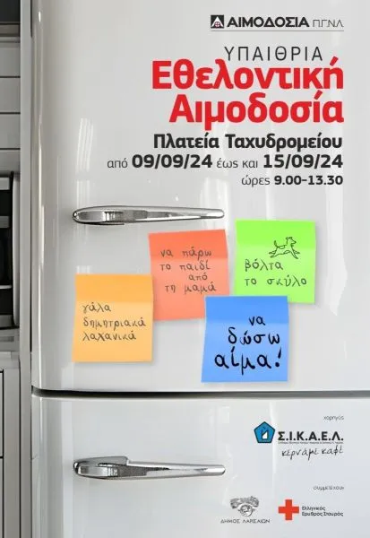 202409031032496861