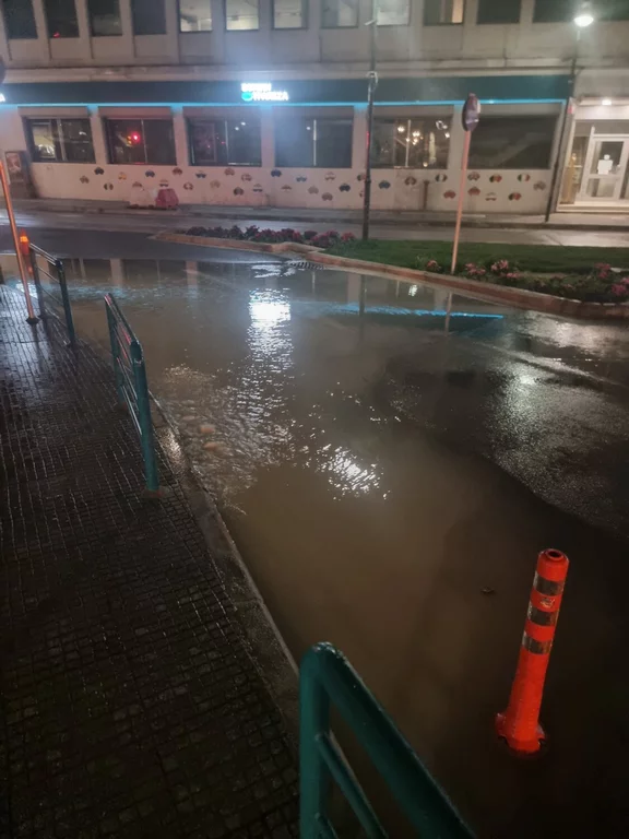 202503310440514622