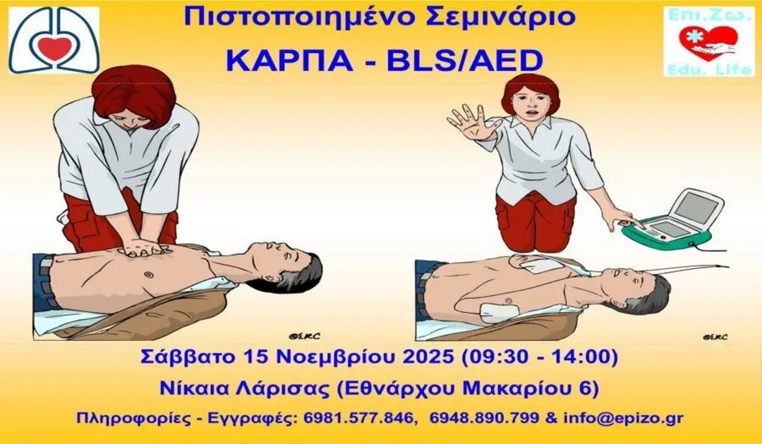 202511030833325338 900x5251