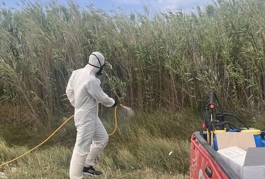 Με εντατικούς ρυθμούς το πρόγραμμα καταπολέμησης κουνουπιών από τον Δ.Λαρισαίων