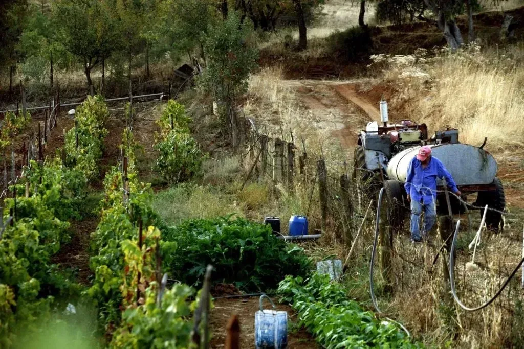 Greenpeace | Συρρικνώνονται τα μικρά αγροκτήματα και στη Θεσσαλία