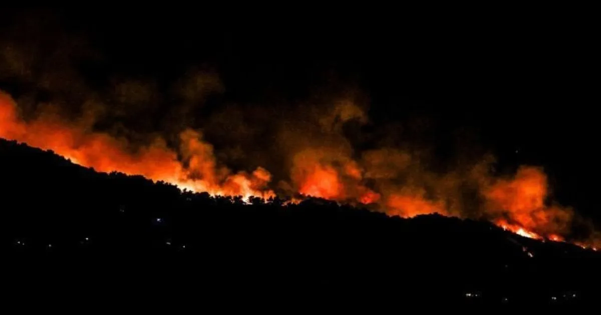 Αναχαιτίστηκε η φωτιά στο Νεοχώρι Πηλίου – Ισχυρές πυροσβεστικές δυνάμεις στο σημείο