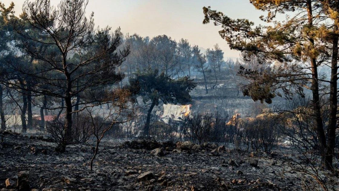 Στη Χίο εχει καεί το 1/13 της συνολικής έκτασης του νησιού