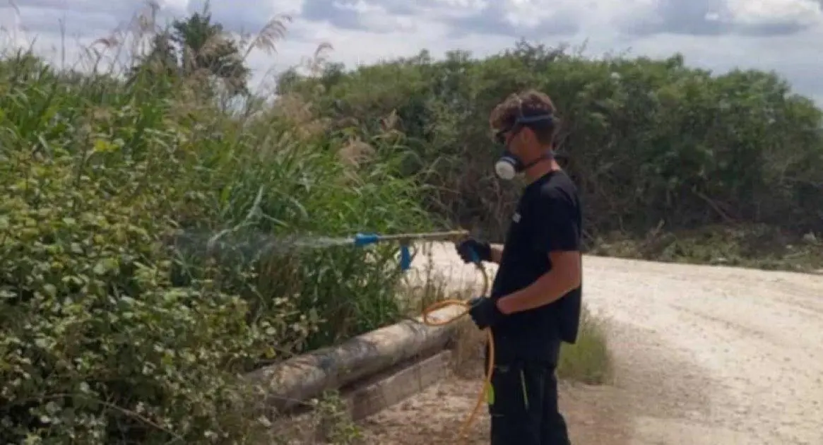Συνεχίζονται έλεγχοι και εφαρμογές για την καταπολέμηση των κουνουπιών από τον Δ.Λαρισαίων