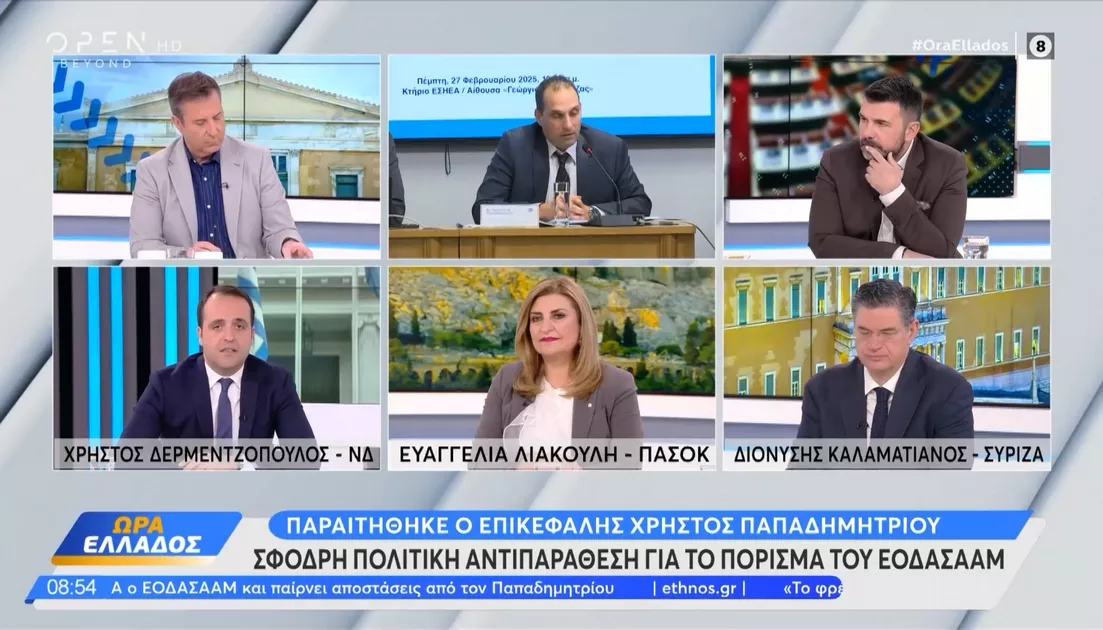 Λιακούλη στο OPEN: Η Κυβέρνηση διόρισε τον κ. Παπαδημητρίου, η Κυβέρνηση ονόμασε εθνικό ευαγγέλιο το πόρισμα!