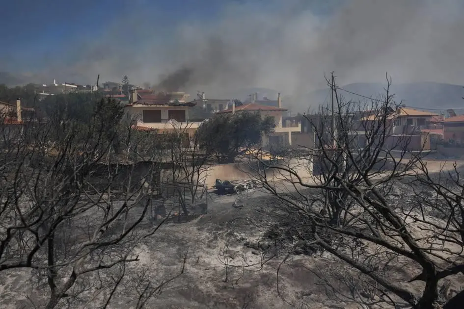 Από καλώδιο του ΔΕΔΔΗΕ η φωτιά στο Θυμάρι Παλαιάς Φώκαιας κατά τα πρώτα στοιχεία