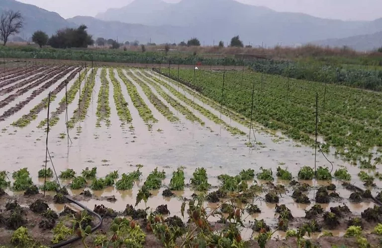 Μόνιμο χαρακτήρα παίρνει το Μέτρο 23 για θεομηνίες με 270 εκατ. από την ΚΑΠ
