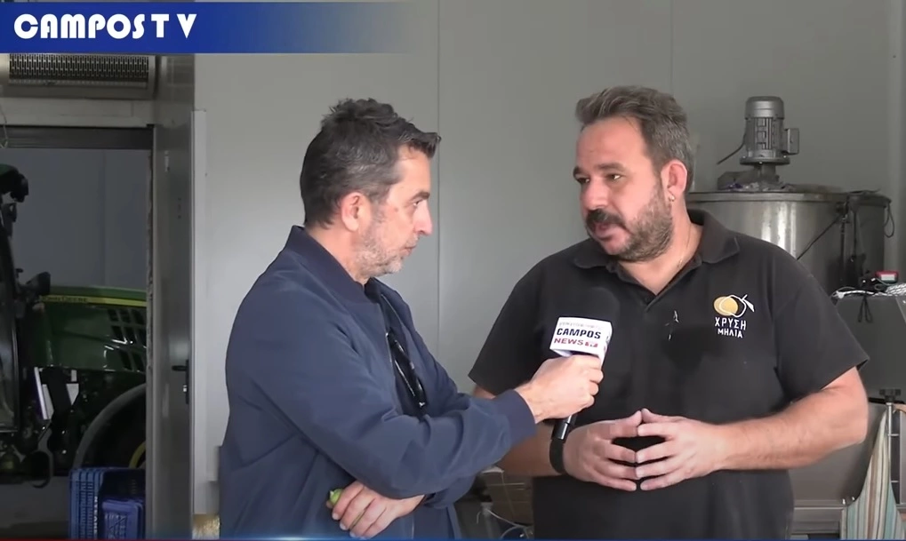 Στον κάμπο της Αγιάς με την κάμερα του CamposNews | Οι μηλιές πολλές, η Χρυσή Μηλιά μία... (VIDEO)