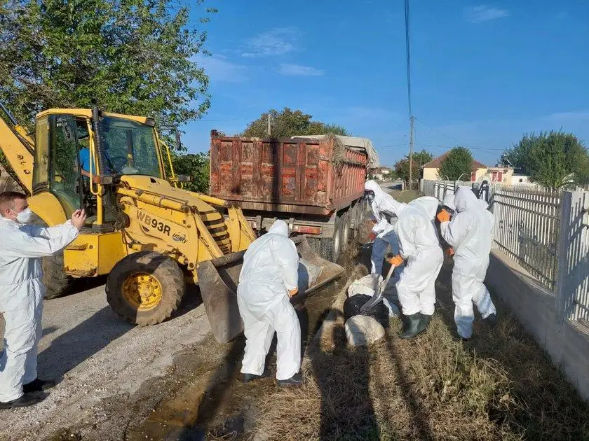 Δύο είναι οι δήμοι της Π.Ε. Λάρισας που υπέδειξαν χώρους υγειονομικής ταφής ζώων  