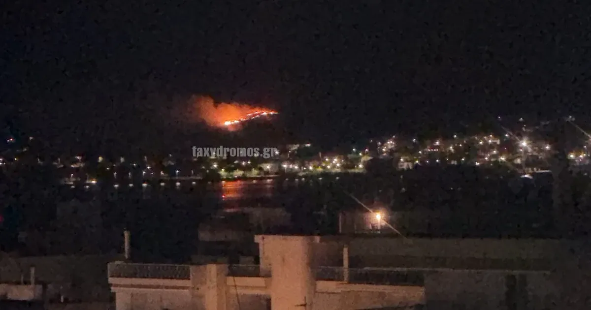 Συναγερμός στην Πυροσβεστική Βόλου: Φωτιά στον λόφο πάνω από το αρχαίο θέατρο Δημητριάδος στα Αϊβαλιώτικα