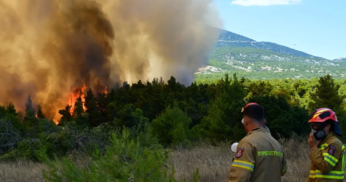 Συνελήφθη ο δήμαρχος Στυλίδας για τη μεγάλη φωτιά που έφτασε στην Αττική