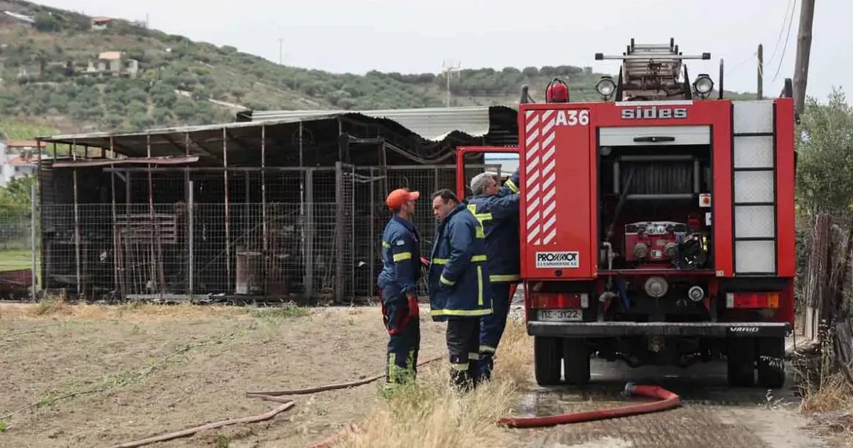 Συνελήφθη 43χρονος για πυρκαγιά από αμέλεια στο Αγρίνιο, του επιβλήθηκε πρόστιμο 1640 ευρώ