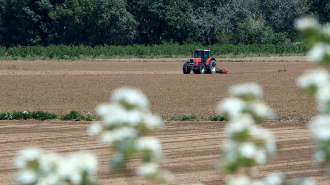 Το μέλλον του αγροδιατροφικού τομέα στη Λάρισα