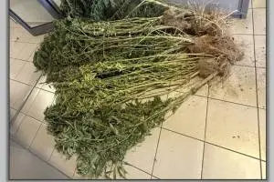 PHOTO_1_original