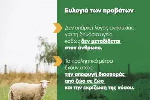 KARTA_1_original