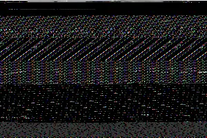Pazari_2025-foto_SK_3_original
