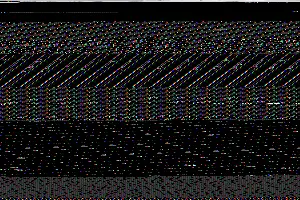 Pazari_2025-foto_SK_6_original