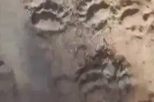 202510200029357792_original