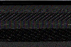 C5D_2604_original