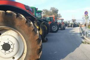 agrotes-7_original