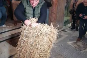 5a6aa771-5963-40ab-955c-cca354bf0ec9_original