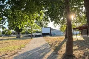 507ea34a-6fa7-4d0a-b4e9-2c70300c70f3_original