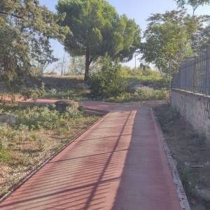 02092024_-_DL_-_PODILATODROMOI5_original