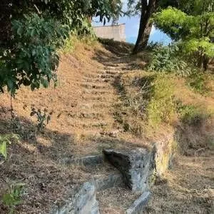 202409021544386653-rotated_original